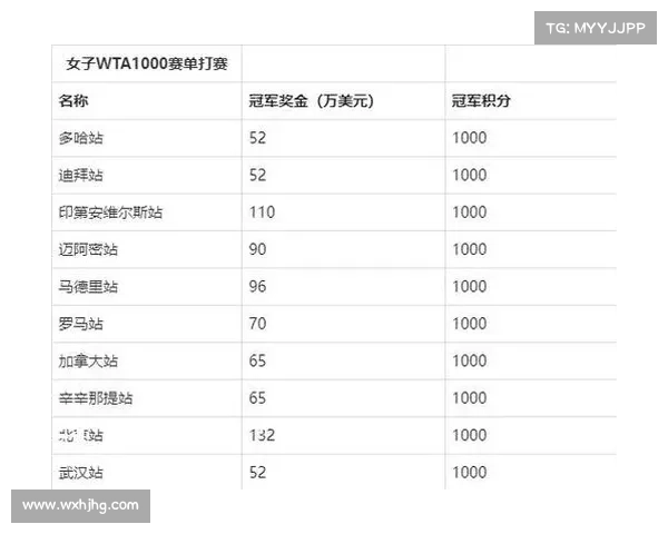 atp赛事奖金排名-网球ATP赛事奖金排行榜深度解析奖金分配与球员收入对比
