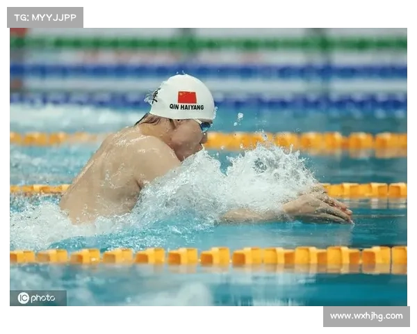 中国游泳赛事