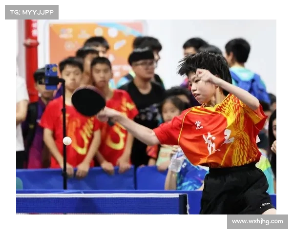 乒乓球锦标赛火热报名正式启动诚邀广大爱好者踊跃参与争创佳绩