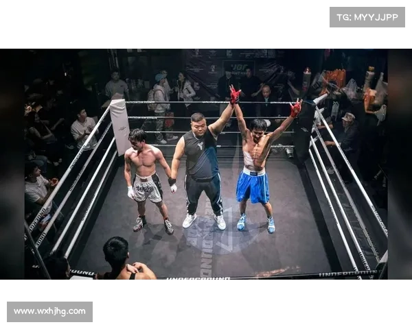 搏击裁判收入怎么样